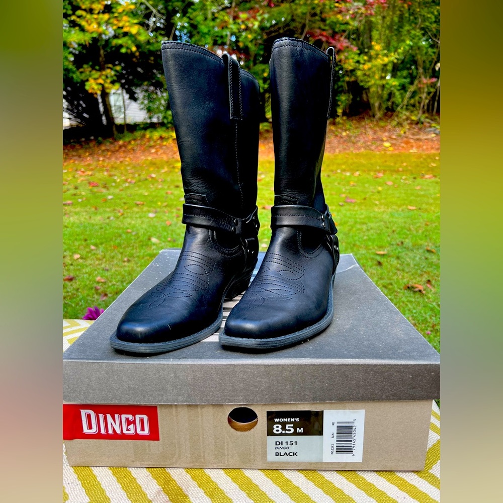 Women’s Dingo riding boots